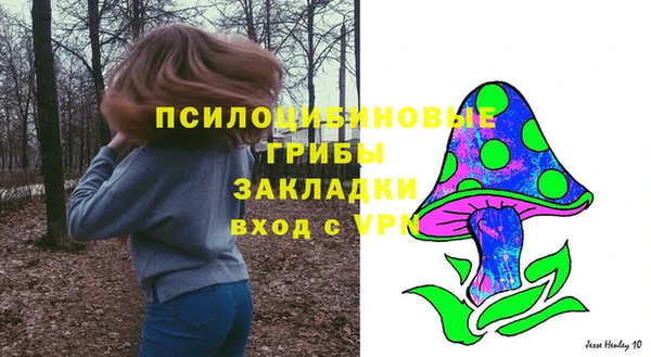 прущий лед Горняк